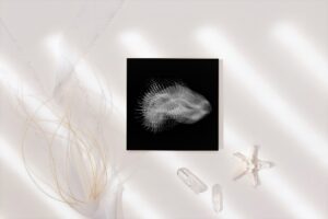 ocean ghost 1 mockup