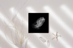 ocean ghost 2 mockup