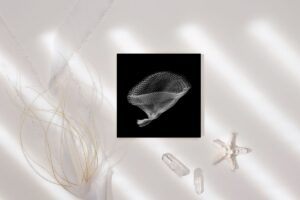 ocean ghost 3 mockup