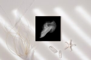 ocean ghost 6 mockup